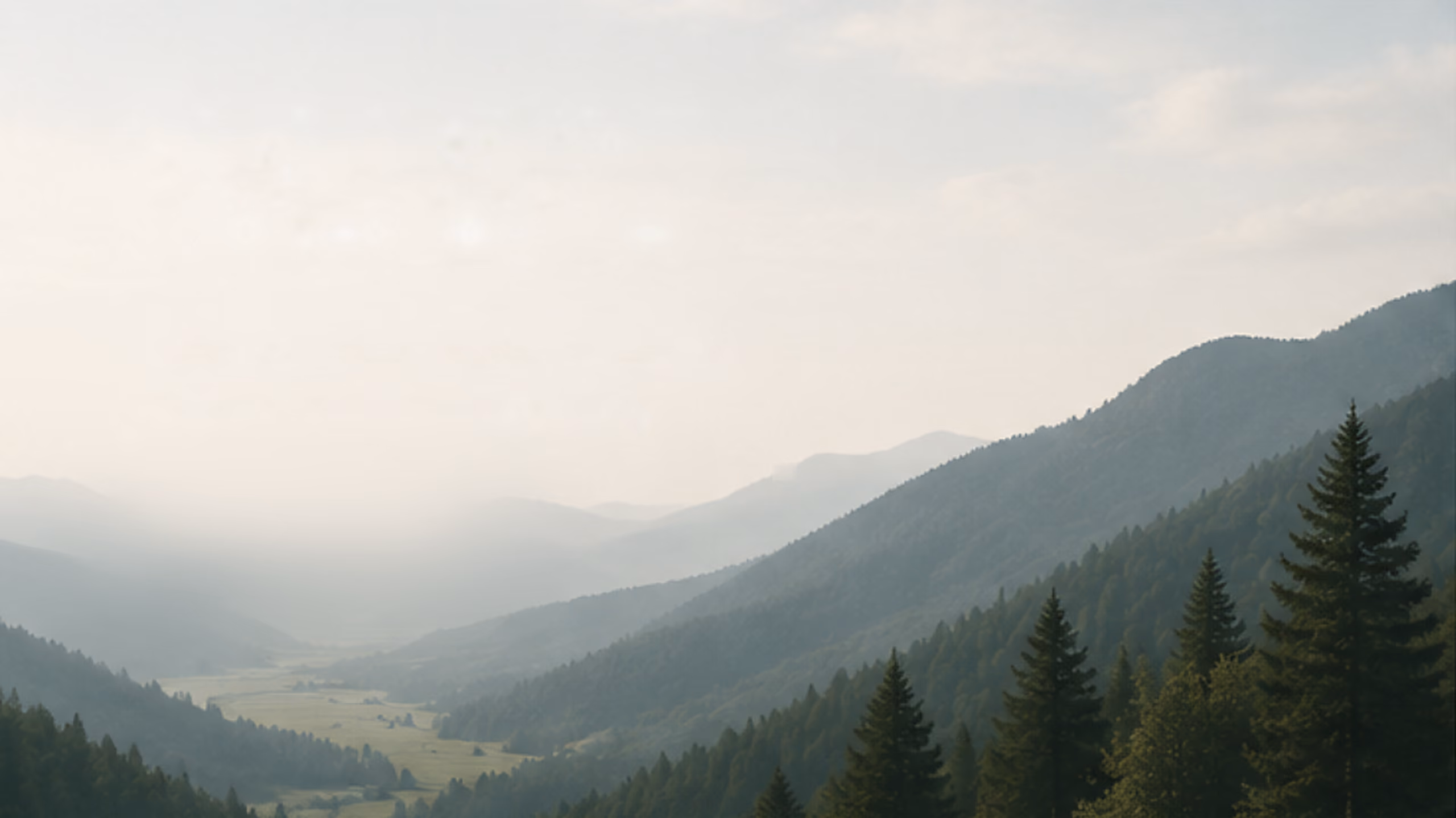 Mist-covered valley with pine trees and layered mountain ranges under a cloudy sky.