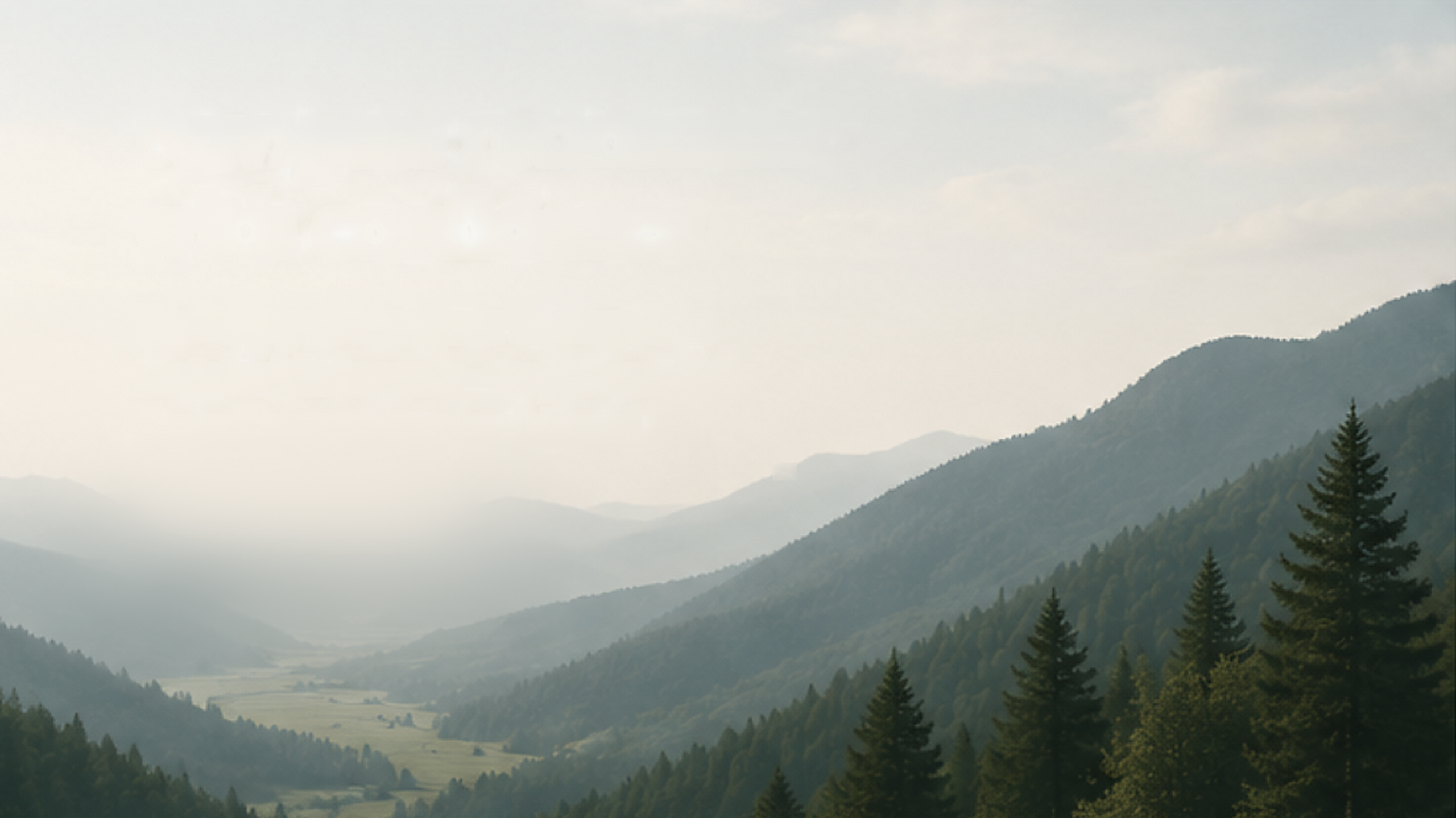 Mist-covered valley with pine trees and layered mountain ranges under a cloudy sky.