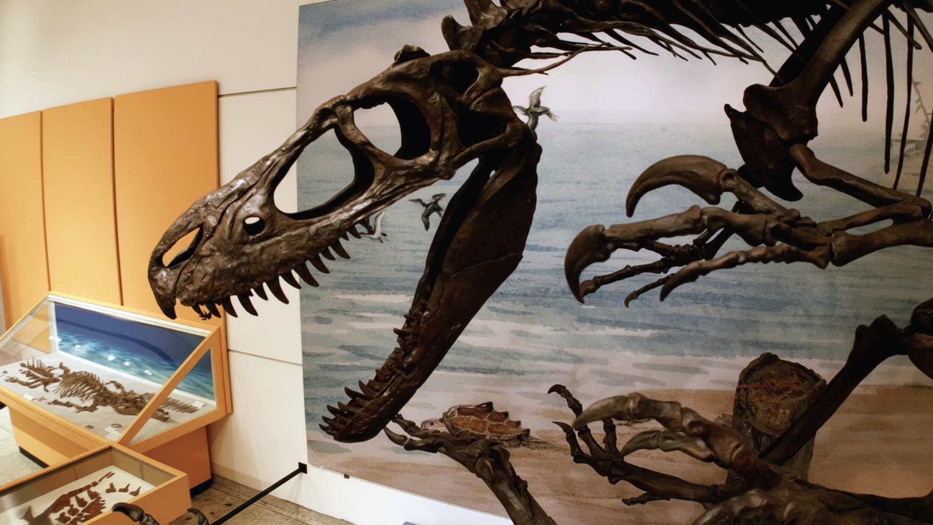Les dinosaures d’Appalachie