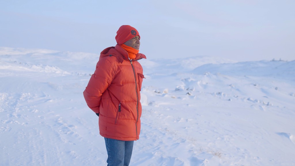 From Africa To Arctic