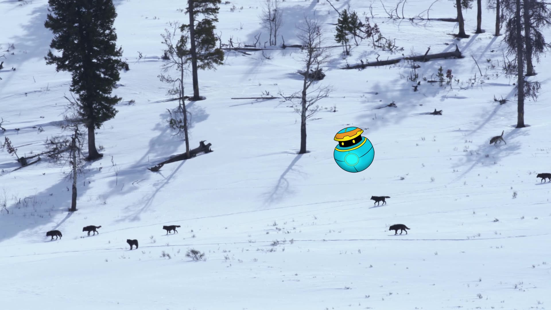 Wolves