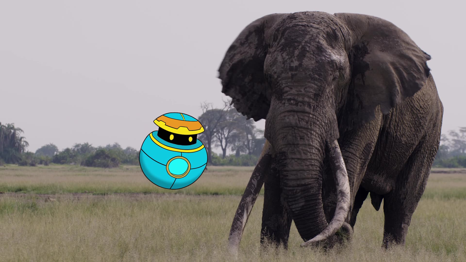 Big Tuskers