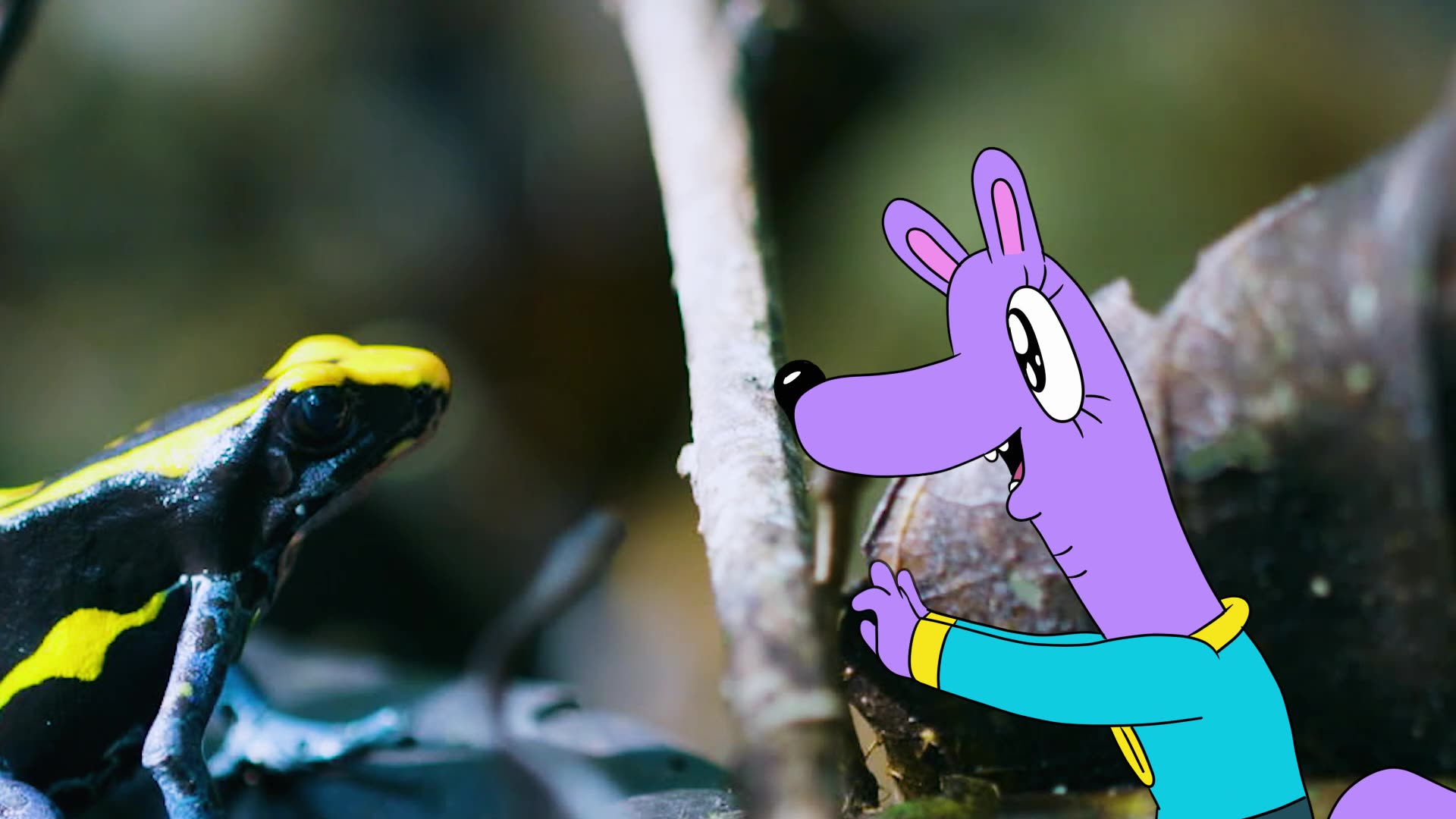 Poison Frog