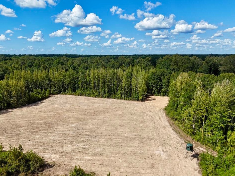 tone Ford Reserve hunting land in Hinds County, MS