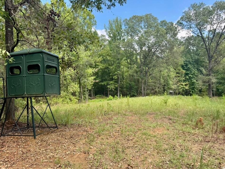 Elevated Deer Blind on large hunting tract in Utica, MS