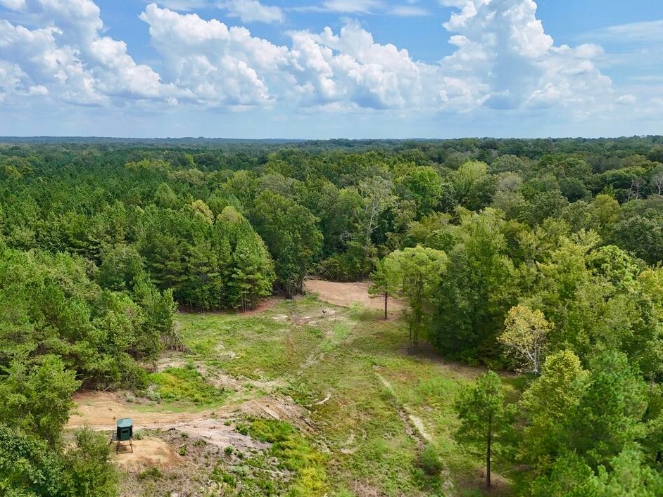 tone Ford Reserve hunting land in Hinds County, MS