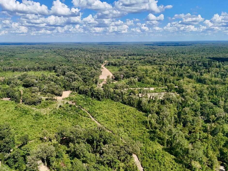 tone Ford Reserve hunting land in Hinds County, MS