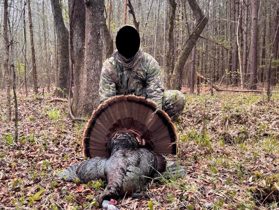 Turkey Hunting Hinds County, MS 