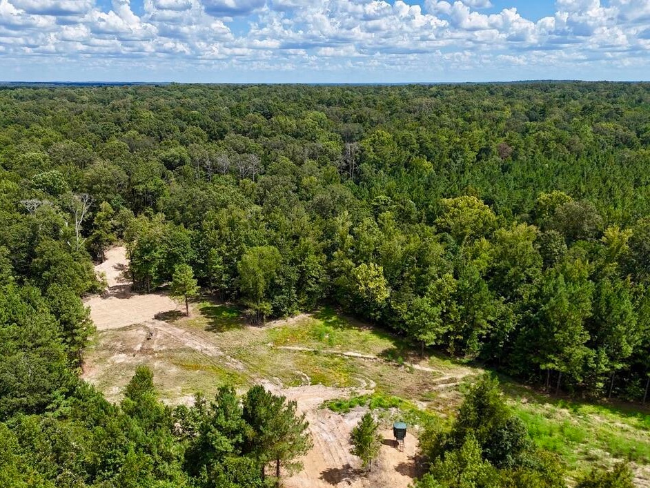 tone Ford Reserve hunting land in Hinds County, MS