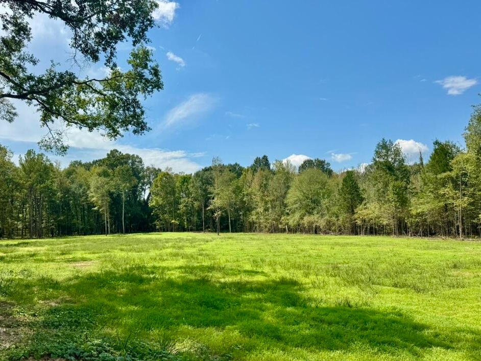 1,274 Acre Hunting Property in Hinds County listed by Hopper