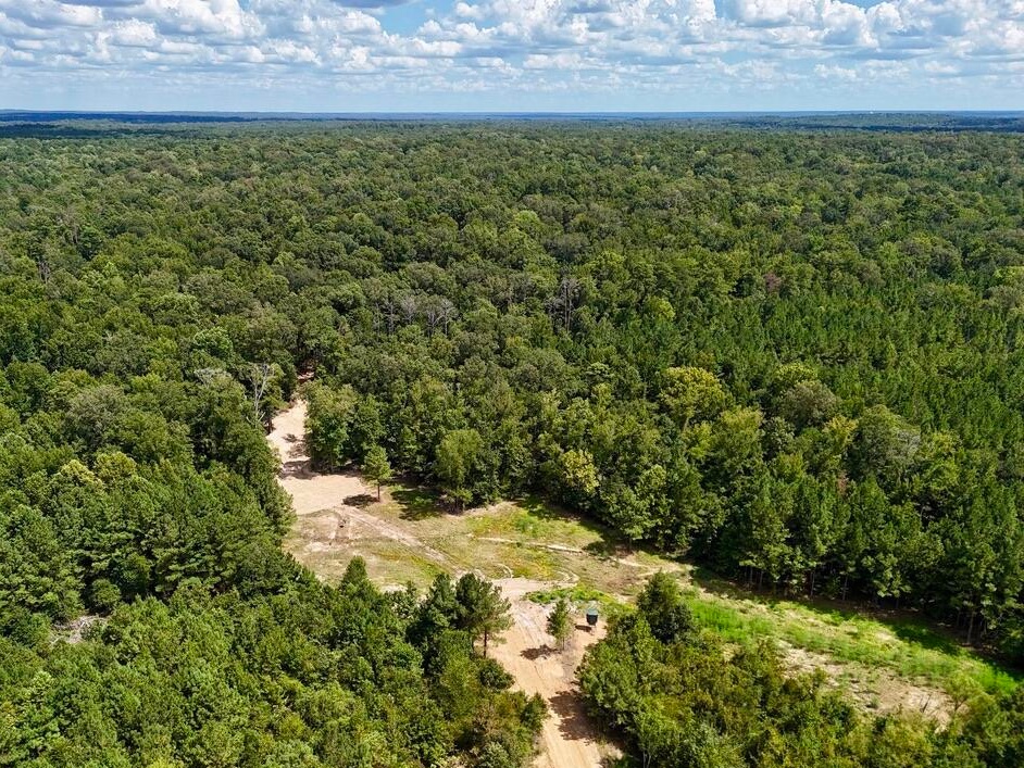 tone Ford Reserve hunting land in Hinds County, MS