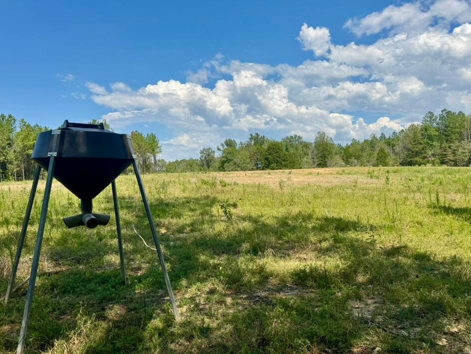 tone Ford Reserve hunting land in Hinds County, MS