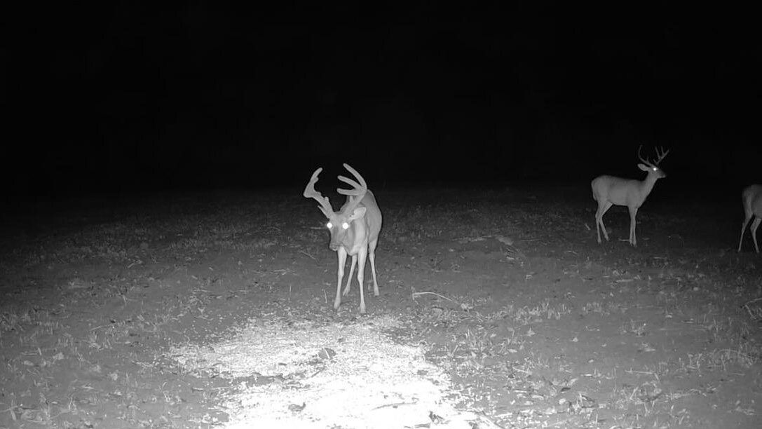 Trophy Deer Hunting Property in Hinds County, MS