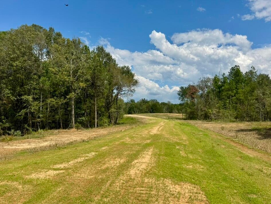 tone Ford Reserve hunting land in Hinds County, MS