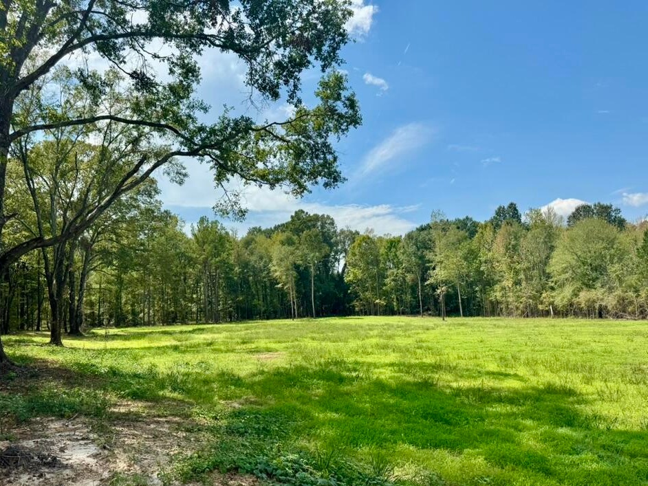tone Ford Reserve hunting land in Hinds County, MS