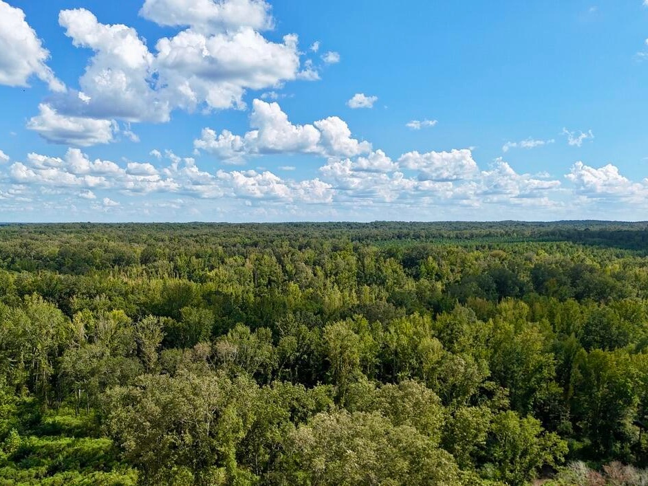 tone Ford Reserve hunting land in Hinds County, MS
