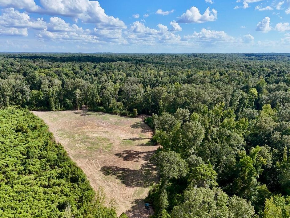 tone Ford Reserve hunting land in Hinds County, MS
