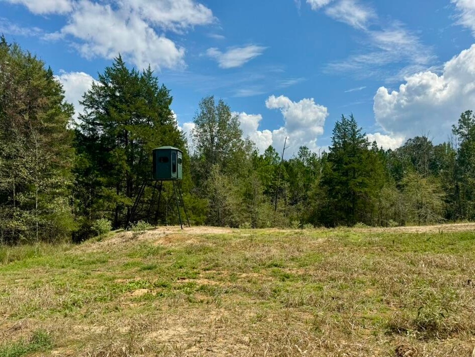 tone Ford Reserve hunting land in Hinds County, MS