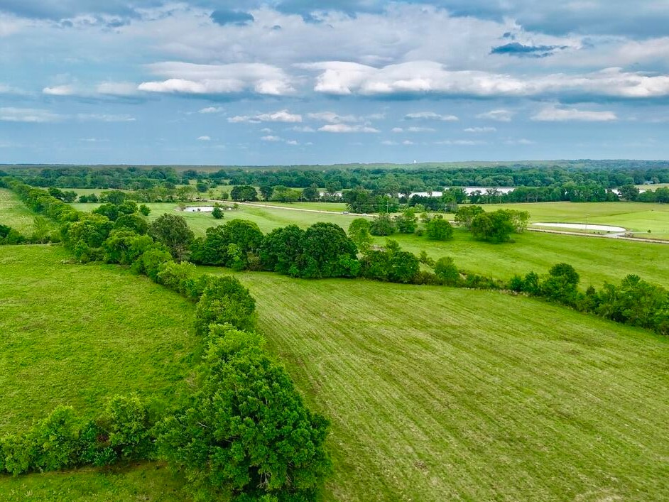 Tree-lined fence row running through pasture with long views near Flora, MS