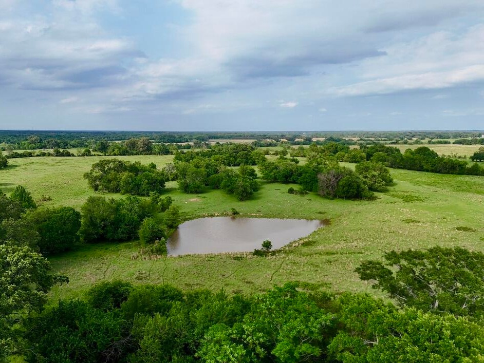 Aerial view of a pond framed by hardwoods and pasture near Flora, MS