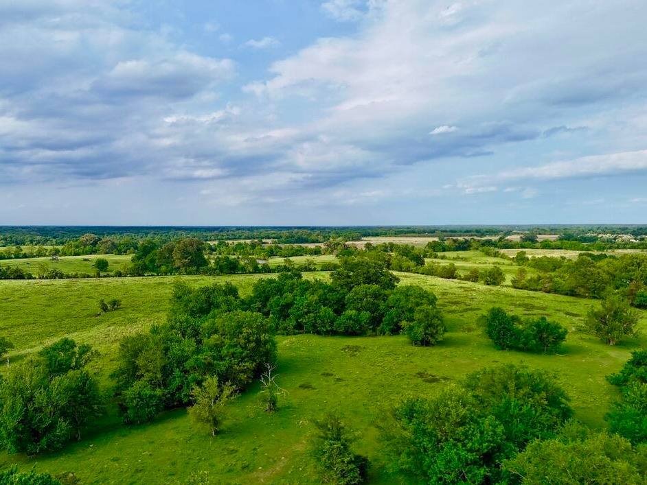Hardwood clusters and pasture on the Highway 22 property