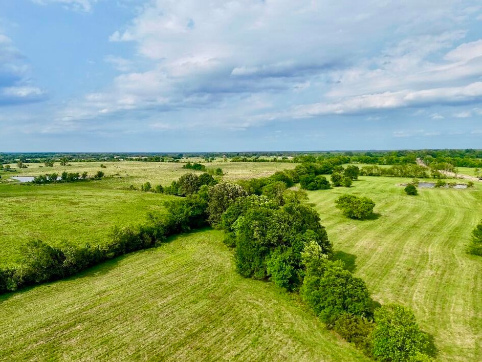 Tree-lined draw running through mowed pasture near Flora, MS