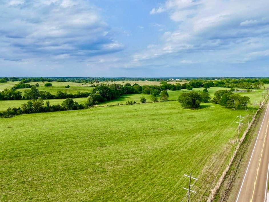 Open pasture along the highway frontage near Flora, MS