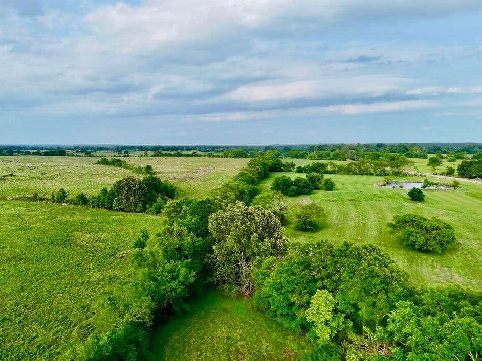 Wooded draw winding through pasture on the 197-acre tract