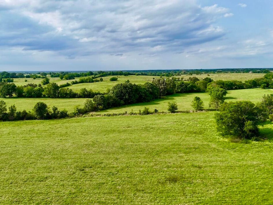 Open pasture with a tree line and long views across Madison County, MS
