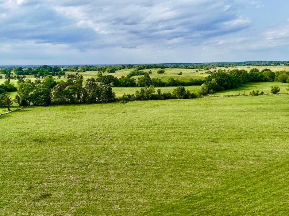 Wide open pasture bordered by hardwoods on the Flora acreage