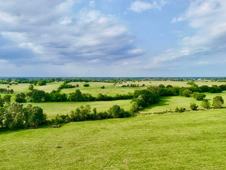 Long view across pasture and tree lines in Madison County, MS