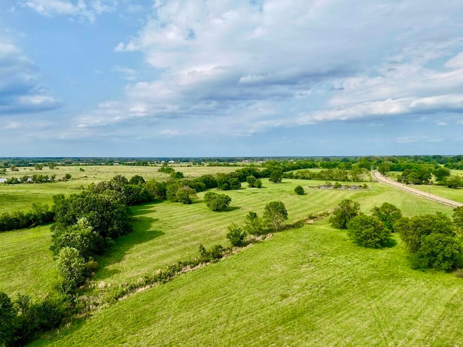 Aerial view of tree-lined fence rows dividing pasture near Flora, MS