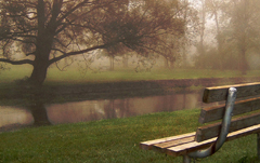 Moving through Grief