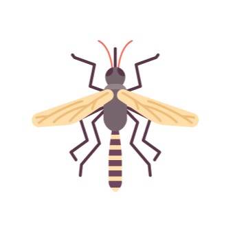 Mosquito Control Services by Rogue Pest Solutions Cullman 