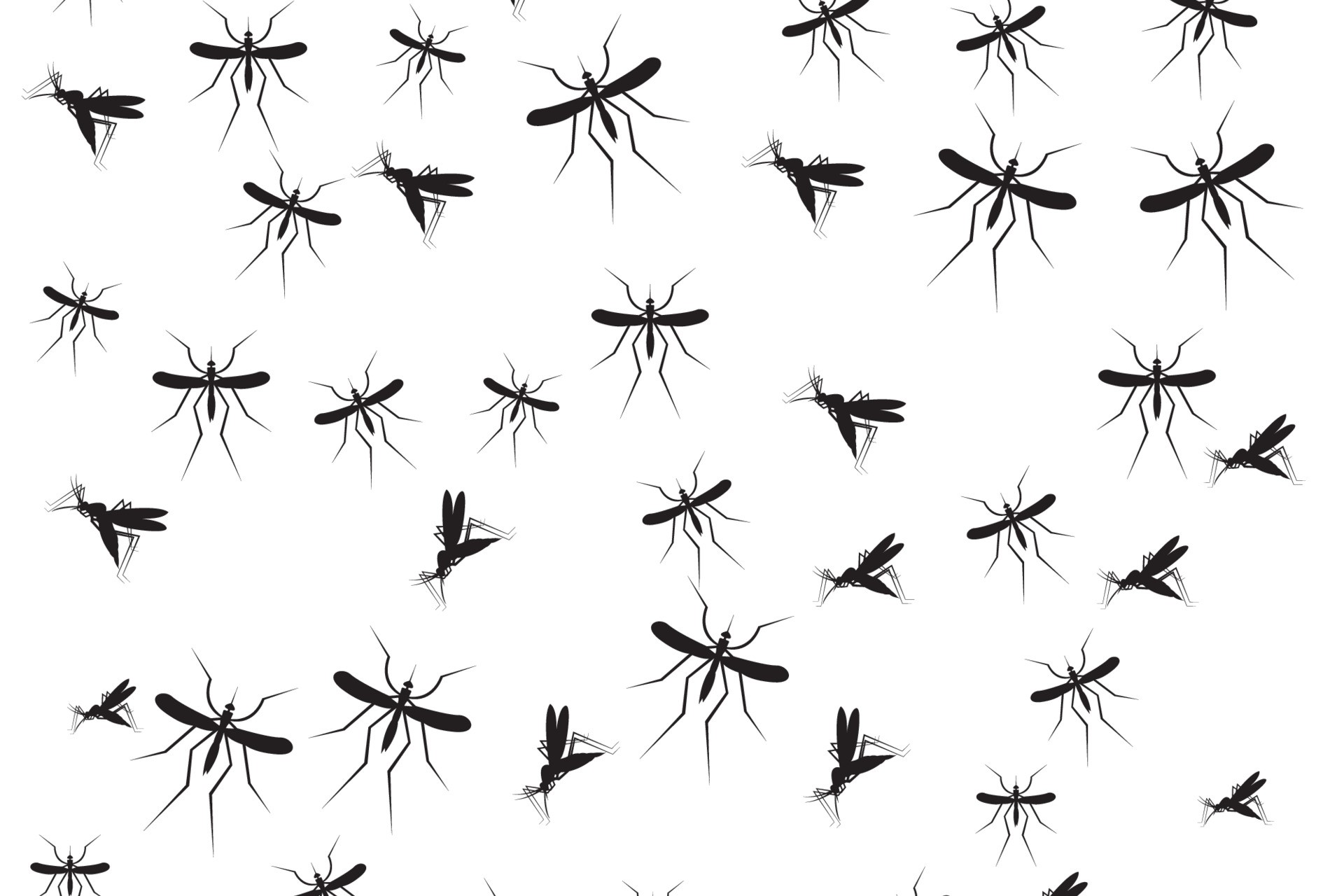 Mosquitos of all shapes and sizes in Cullman 