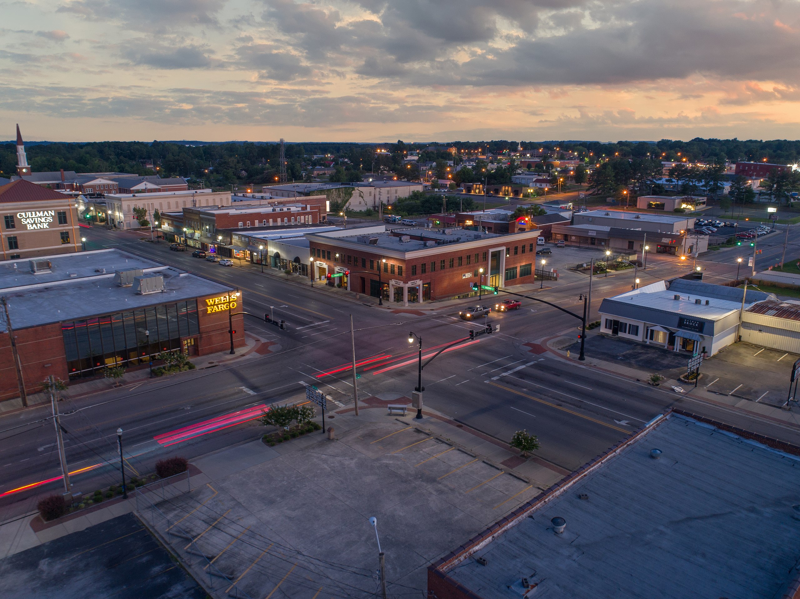 Huntsville Pest Control Expertise - Rogue Pest Solutions