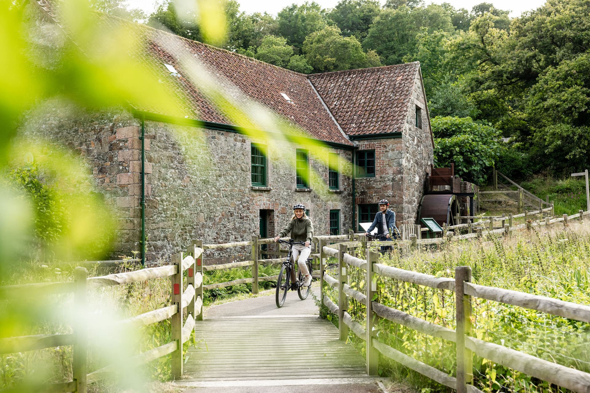 A wooded Jersey valley in summer
