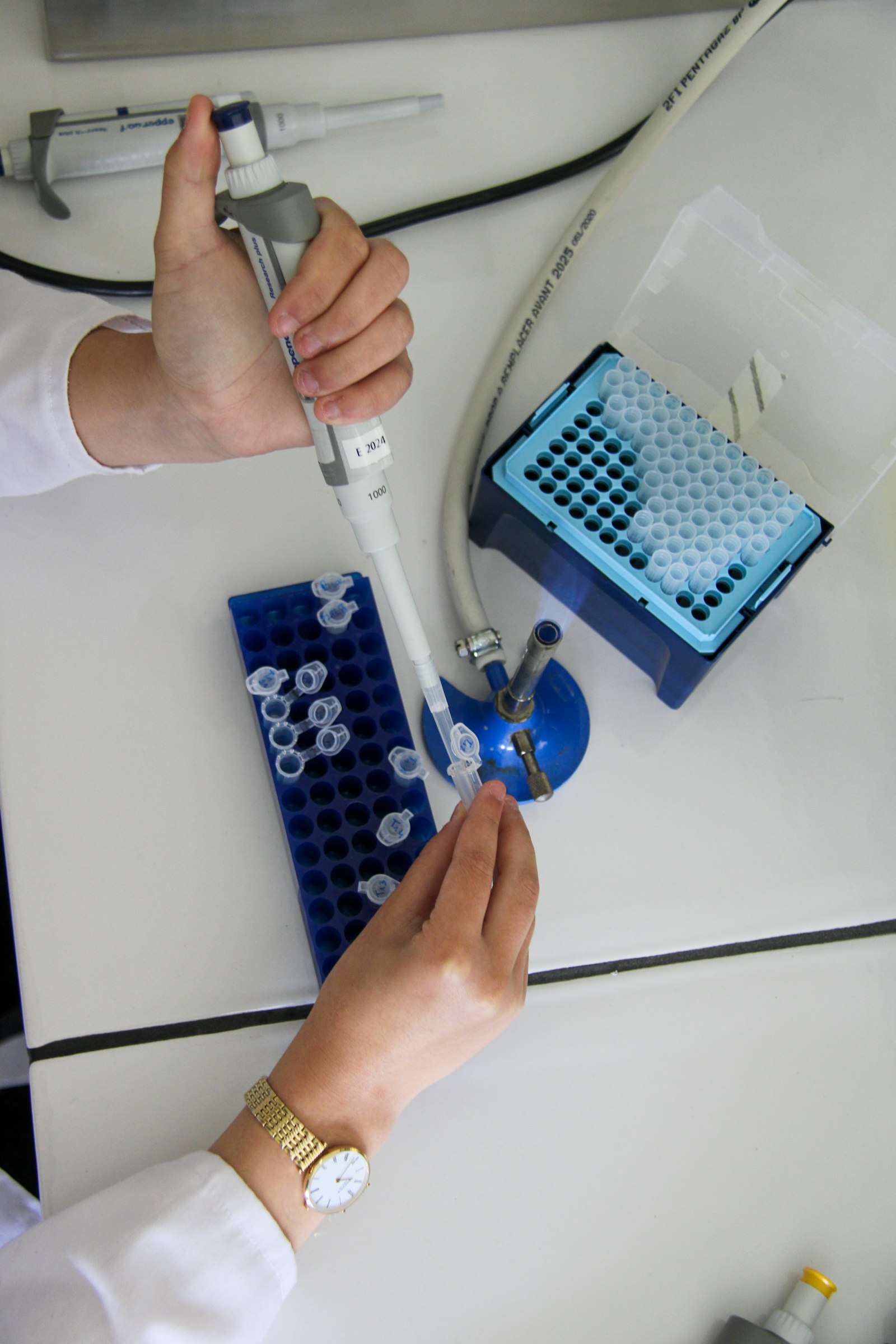 Hands using a pipette on sample tubes at a laboratory bench
