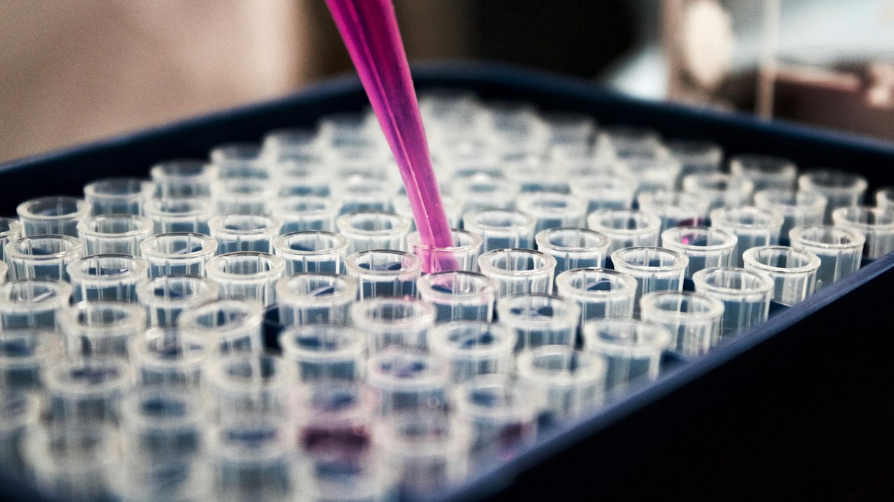 Pipette adding pink liquid to a tray of sample tubes in a life science lab