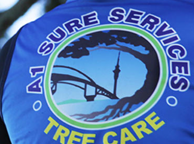 Emergency Tree Removal