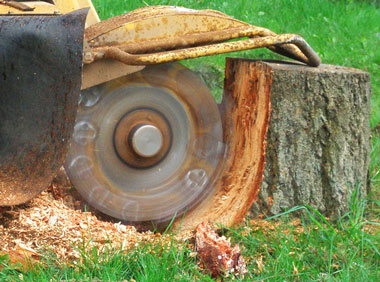 Stump Grinding