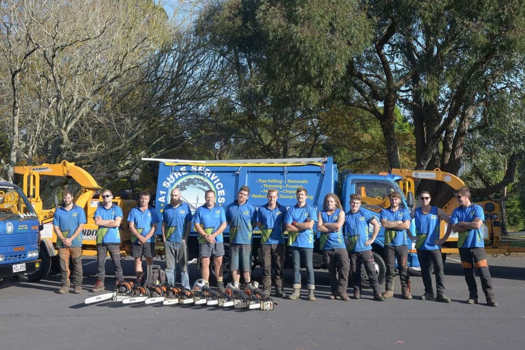 A1 Sure Services - Auckland tree removal and tree service experts