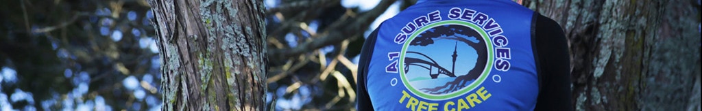 A1 Sure Services - Auckland arborist and tree services company