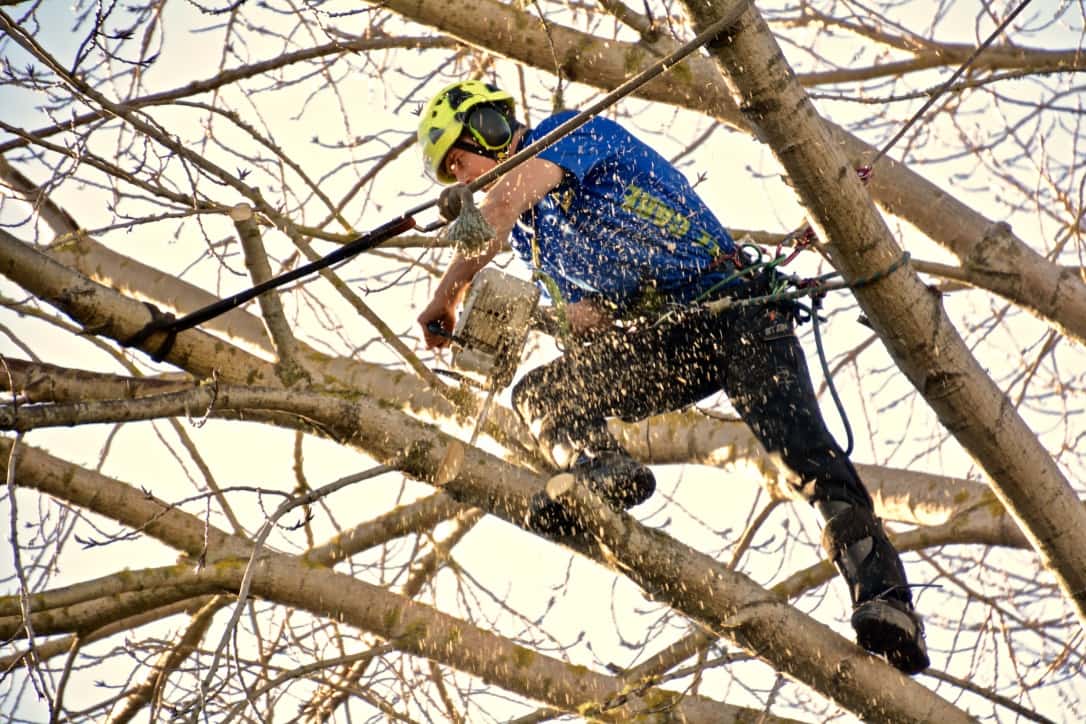 Tree Trimming and Gardening Health & Safety Tips