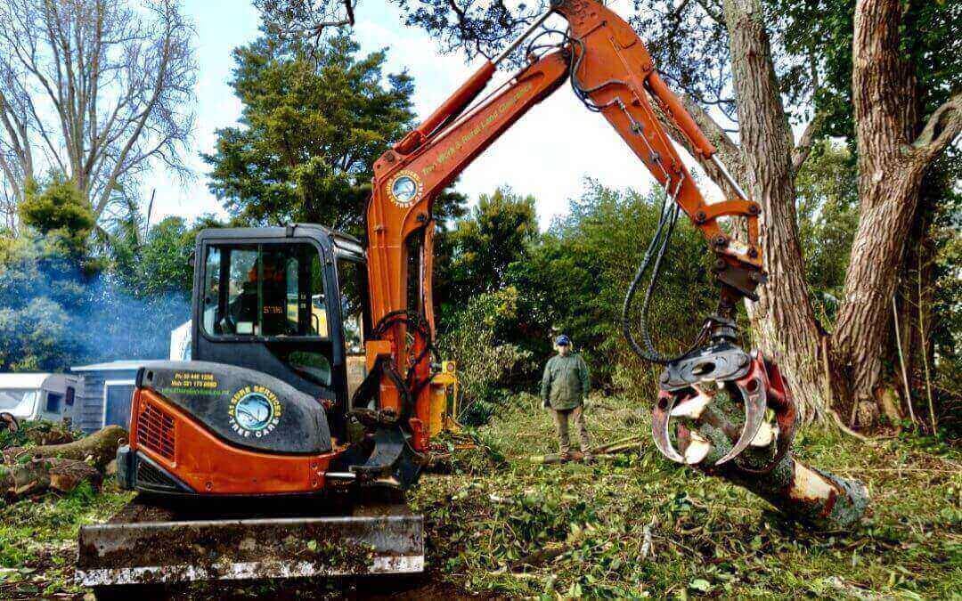 How Auckland Tree Removal Is Beneficial For Property Development