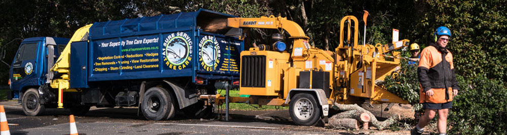 The Benefits of Tree Removal