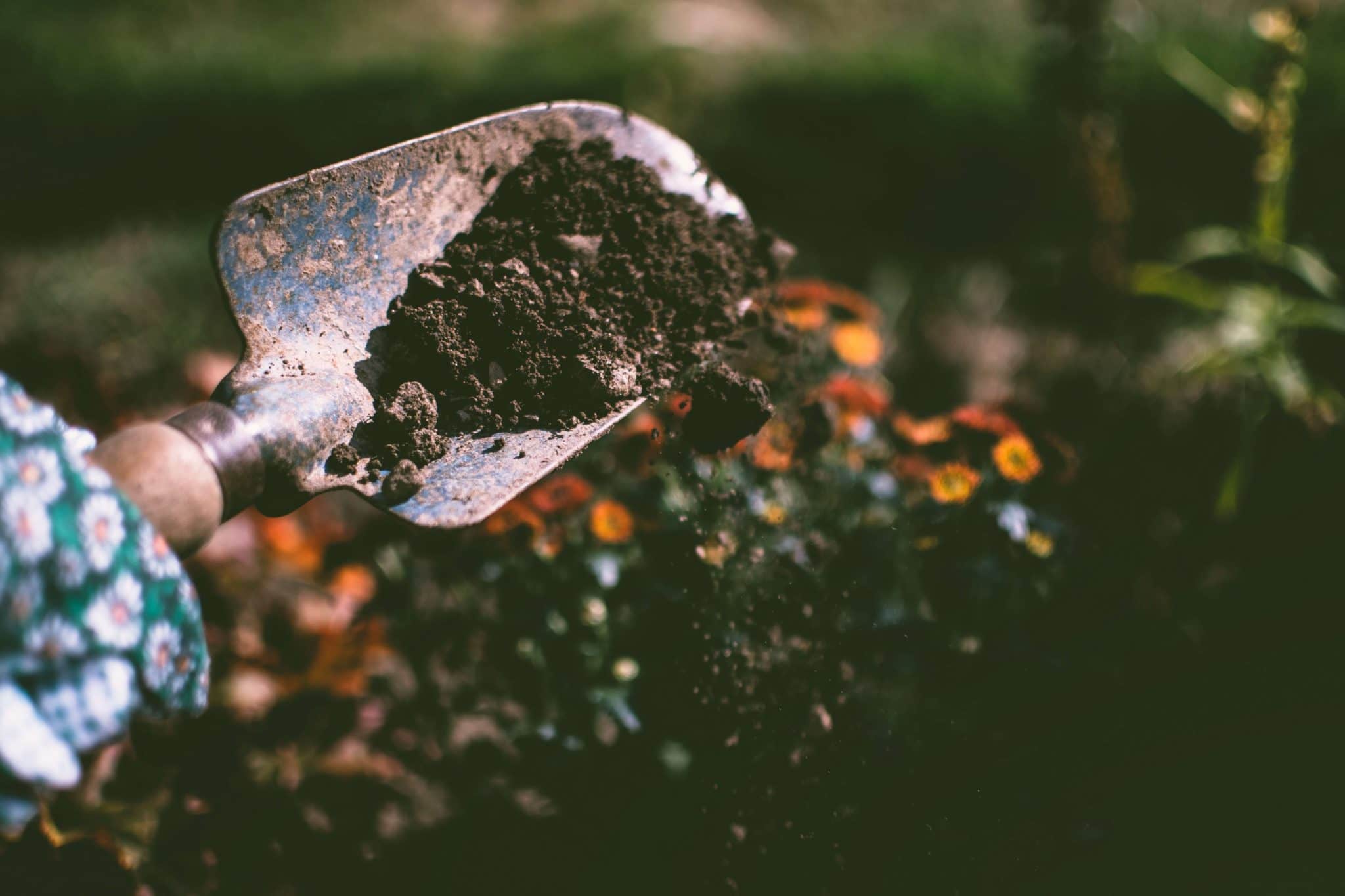 Do’s And Don’ts of Garden Care and Tree Removal