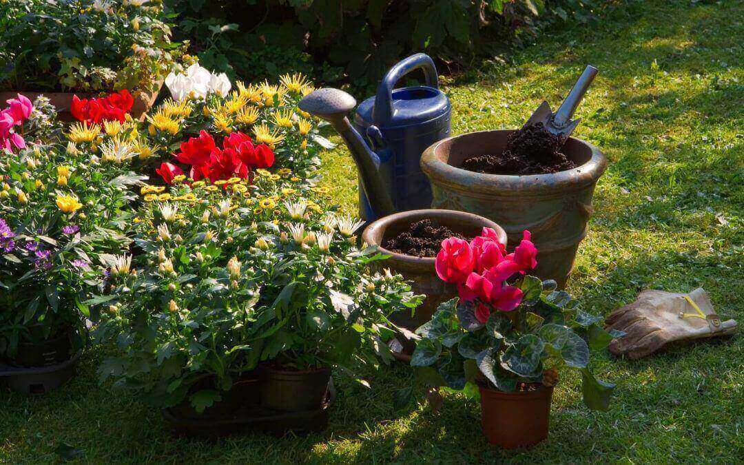 Tips for a low-maintenance garden