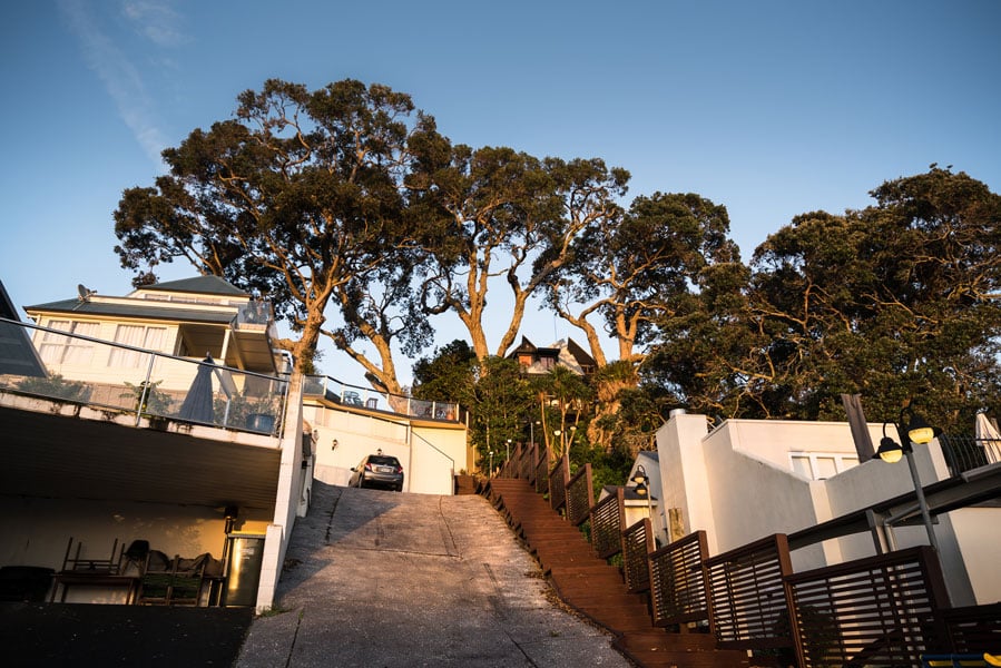 How To Determine If A Tree Needs To Be Removed