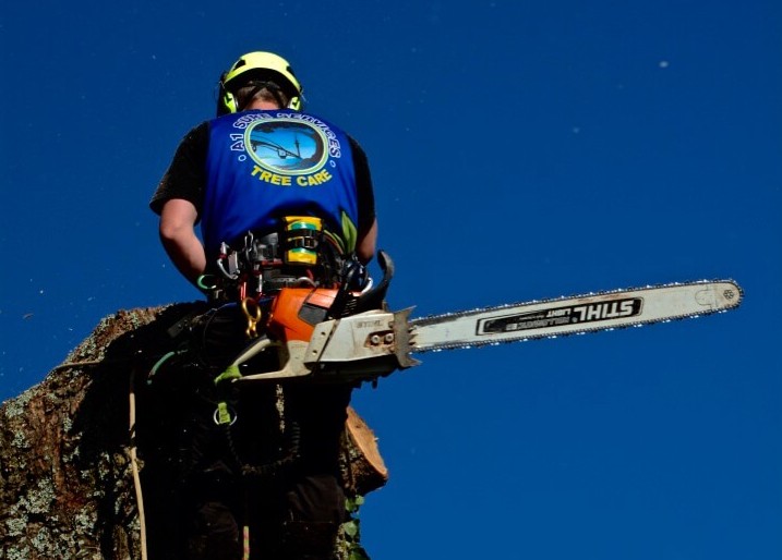 Emergency Tree Removal